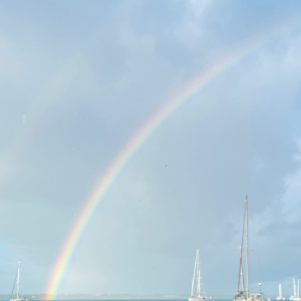 Meet your Posher The •Spotted Unicorn•